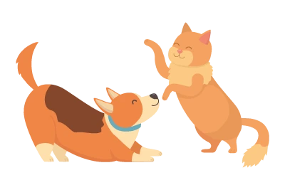 Deux animaux: un chat et un chien Deux animaux: un chat et un chien